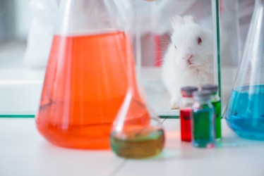 Similar image 13299096