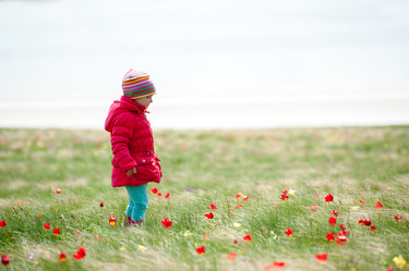 Similar image 13300902