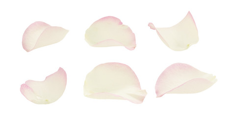 Similar image 13301098