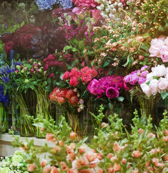 Similar image 13301100