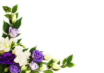 Similar image 13301119