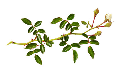 Similar image 13301122