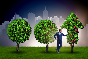 Similar image 13298360