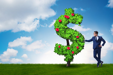 Similar image 13298608