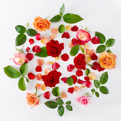 Similar image 13301000