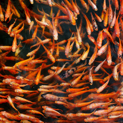 Similar image 13301004