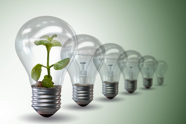 Similar image 13308061