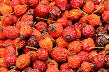 Similar image 13300869