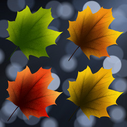 Similar image 13300003