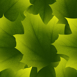 Similar image 13300028