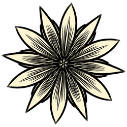 Similar image 13319183