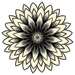 Similar image 13319244