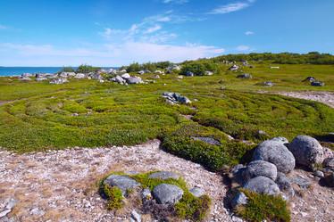 Similar image 13308516