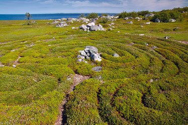 Similar image 13308524