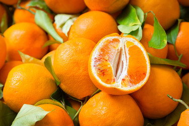 Similar image 13306165