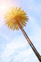 Similar image 13306189