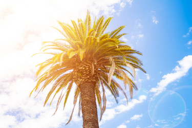 Similar image 13306190