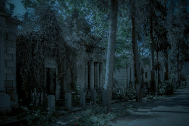 Similar image 13306191