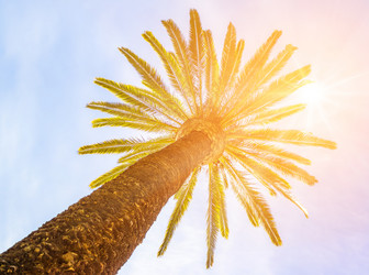 Similar image 13306197