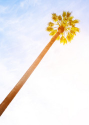 Similar image 13309554