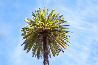 Similar image 13309555