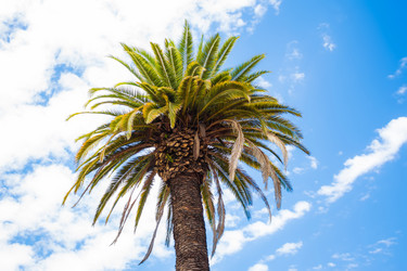 Similar image 13309559