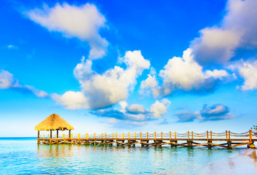 Similar image 13305469