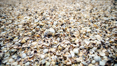 Similar image 13308181