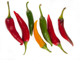 Similar image 13305666