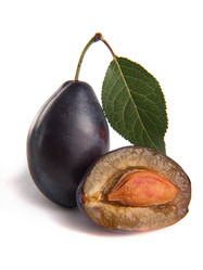 Similar image 13305671