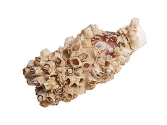 Similar image 13305682