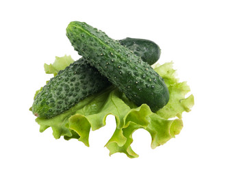 Similar image 13305683