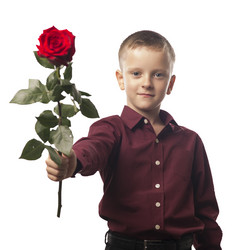 Similar image 13305627