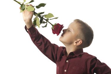 Similar image 13305629