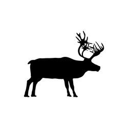 Similar image 13309546