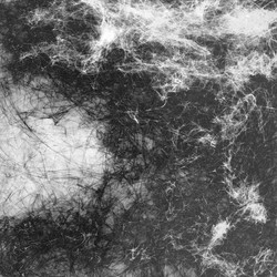 Similar image 13305690