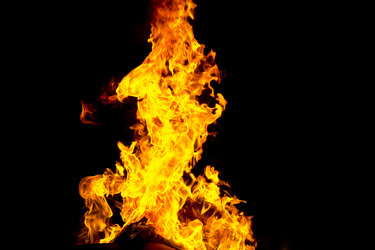 Similar image 13312860