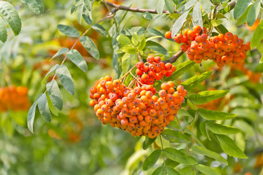 Similar image 13314395