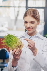 Similar image 13315174