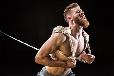 Similar image 13315152