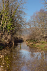 Similar image 13305783