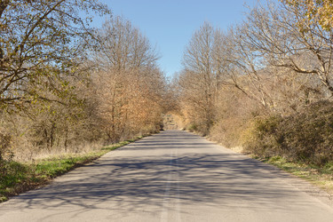 Similar image 13305792