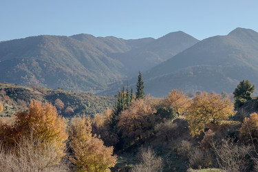 Similar image 13305798