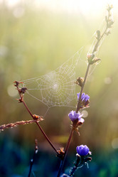 Similar image 13309851