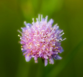 Similar image 13309853