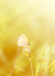 Similar image 13309865