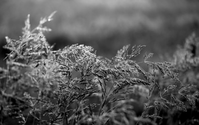 Similar image 13309856