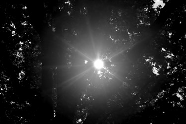 Similar image 13309860