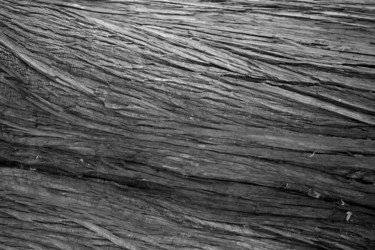 Similar image 13309862