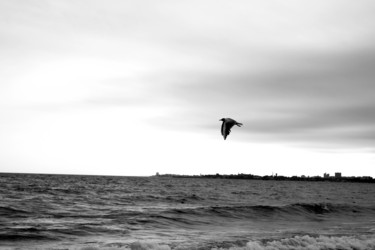 Similar image 13309866